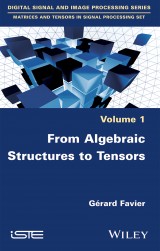 From Algebraic Structures to Tensors