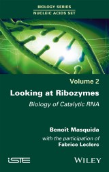 Looking at Ribozymes