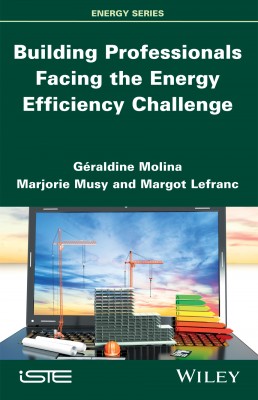 Building Professionals Facing the Energy Efficiency Challenge