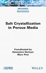 Salt Crystallization in Porous Media