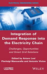 Integration of Demand Response into the Electricity Chain