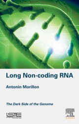 Long Non-coding RNA