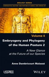 Embryogeny and Phylogeny of the Human Posture 2