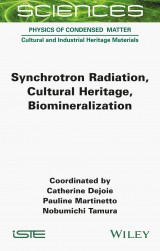 Synchrotron Radiation, Cultural Heritage, Biomineralization