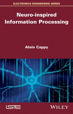 Neuro-inspired Information Processing