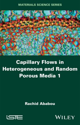 Capillary Flows in Heterogeneous and Random Porous Media 1
