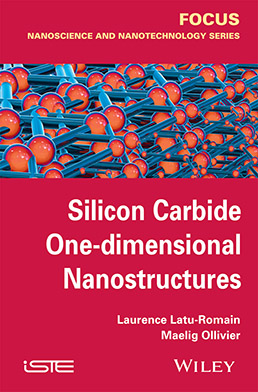 Silicon Carbide One-dimensional Nanostructures
