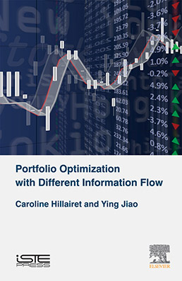 Portfolio Optimization with Different Information Flow